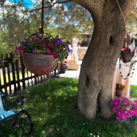 Agriturismo Le Faeta 아르피노 외부 사진